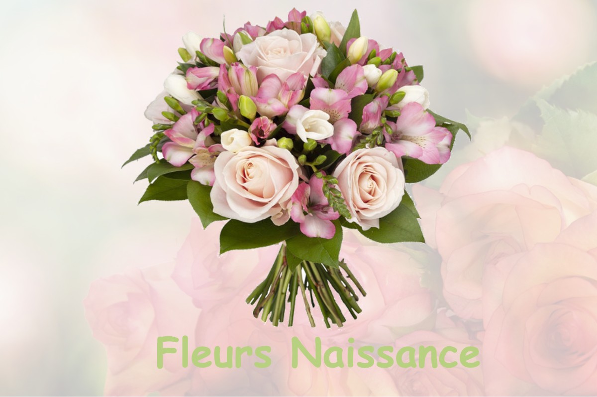 fleurs naissance POISEUL-LES-SAULX